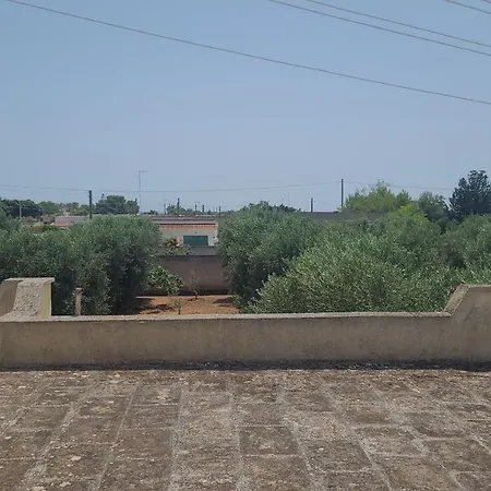 Oliveto San Pietro in Bevagna