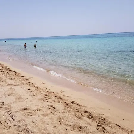 Oliveto Hébergement de vacances